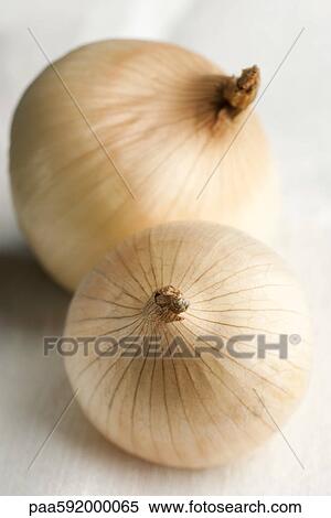 Onions View Large Photo Image Stock Photography - Onions. Fotosearch