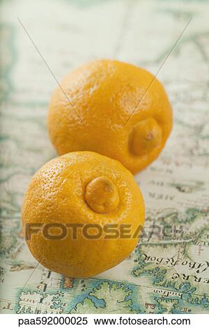 Oranges View Large Photo Image Stock Photography - Oranges. Fotosearch