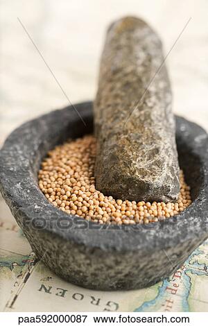 Peppercorns in mortar with pestle View Large Photo Image Stock Photo - Peppercorns in mortar with pestle. Fotosearch