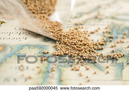 Peppercorns spilling from plastic bag View Large Photo Image Stock Photography - Peppercorns spilling from plastic bag. Fotosearch