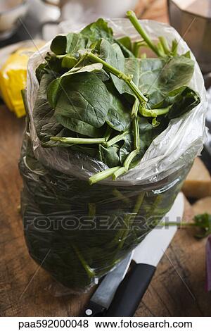 Plastic bag of fresh spinach leaves View Large Photo Image Stock Photo - Plastic bag of fresh spinach leaves. Fotosearch