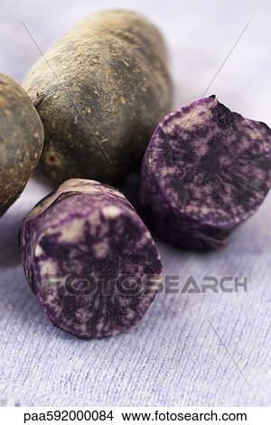 Picture - Purple potatoes. Fotosearch