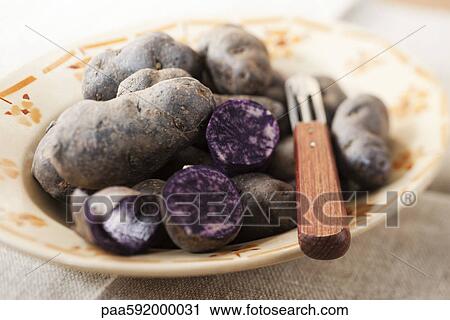 Purple potatoes View Large Photo Image Stock Image - Purple potatoes. Fotosearch