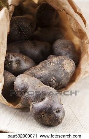 Purple potatoes View Large Photo Image Stock Image - Purple potatoes. Fotosearch