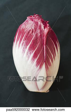 Radicchio head View Large Photo Image Stock Image - Radicchio head. Fotosearch
