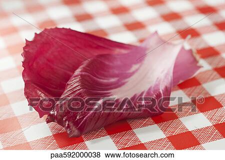 Radicchio leaves View Large Photo Image Stock Photo - Radicchio leaves. Fotosearch