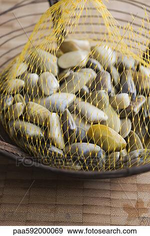 Stock Photo - Sack of fresh clams. Fotosearch