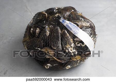 Sack of fresh mussels View Large Photo Image Stock Image - Sack of fresh mussels. Fotosearch