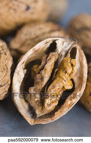 Shelling walnuts View Large Photo Image Stock Photo - Shelling walnuts. Fotosearch