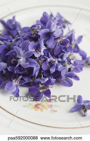 Violet flowers on plate View Large Photo Image Stock Photo - Violet flowers on plate. Fotosearch