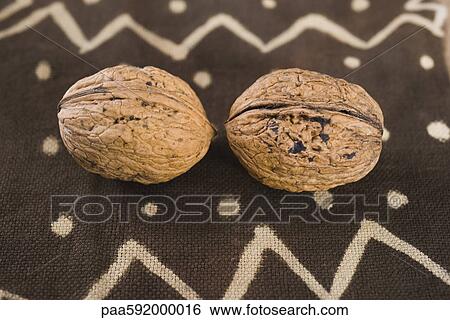 Walnuts View Large Photo Image Stock Photograph - Walnuts. Fotosearch
