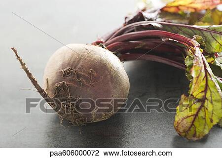 Beet View Large Photo Image Stock Image - Beet. Fotosearch
