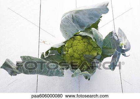 Stock Image - Cauliflower. Fotosearch