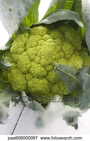 Stock Photo - Cauliflower. Fotosearch