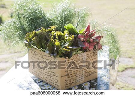 Stock Photo - Fresh produce in basket. Fotosearch