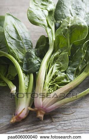 Stock Image - Fresh spinach. Fotosearch