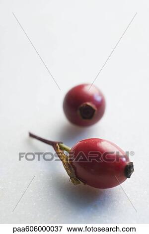 Rosehips View Large Photo Image Stock Photo - Rosehips. Fotosearch