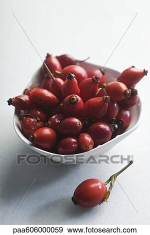 Stock Photo - Rosehips. Fotosearch