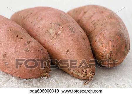 Stock Photo - Sweet potatoes. Fotosearch