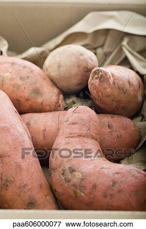 Sweet potatoes View Large Photo Image Stock Photo - Sweet potatoes. Fotosearch