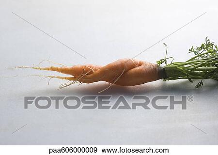 Stock Photo - Twisted carrot. Fotosearch