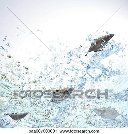 Stock Image - Fish jumping. Fotosearch
