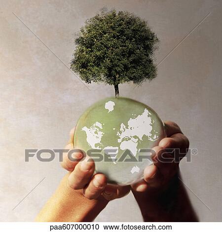 Hands holding planet earth with tree growing on it View Large Photo Image Stock Image - Hands holding planet earth with tree growing on it. Fotosearch