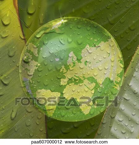 Map of earth reflected in droplet of water on plant leaf View Large Photo Image Stock Image - Map of earth reflected in droplet of water on plant leaf. Fotosearch