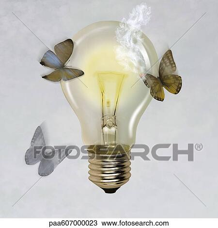 Moths flying around illuminated light bulb, one moth's wing burned View Large Photo Image Stock Image - Moths flying around illuminated light bulb, one moth's wing burned. Fotosearch