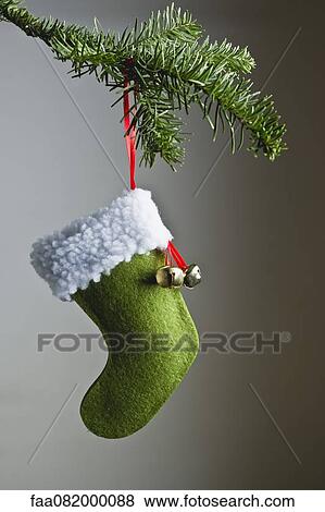 Christmas stocking ornament hanging on branch View Large Photo Image Stock Photo - Christmas stocking ornament hanging on branch. Fotosearch