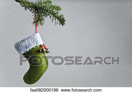 Stock Photo - Christmas stocking ornament hanging on branch. Fotosearch