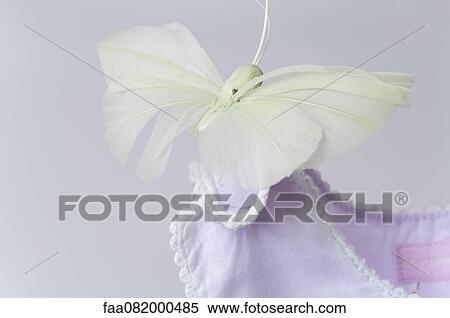 Stock Photography - Fake butterfly resting on shoulder of baby clothing. Fotosearch