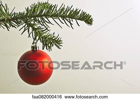 Red Christmas bauble hanging from Christmas tree View Large Photo Image Stock Photograph - Red Christmas bauble hanging from Christmas tree. Fotosearch