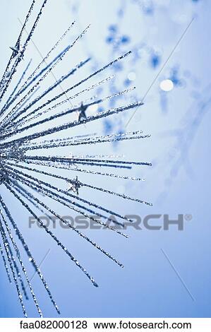 Stock Photo - Silver glittered ornament. Fotosearch