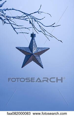 Star-shaped Christmas ornament hanging from branch View Large Photo Image Stock Image - Star-shaped Christmas ornament hanging from branch. Fotosearch