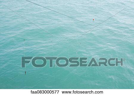 Bait fishing for salmon View Large Photo Image Stock Photo - Bait fishing for salmon. Fotosearch