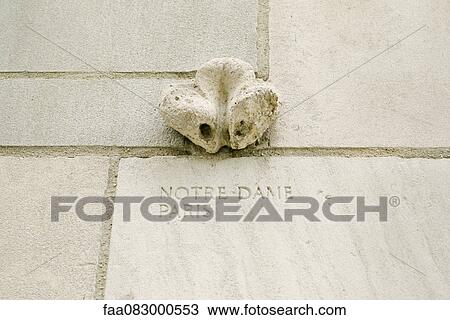 Stock Image - Close front of the Chicago Tribune piece of the Cathedral Notre Dame de Paris. Fotosearch