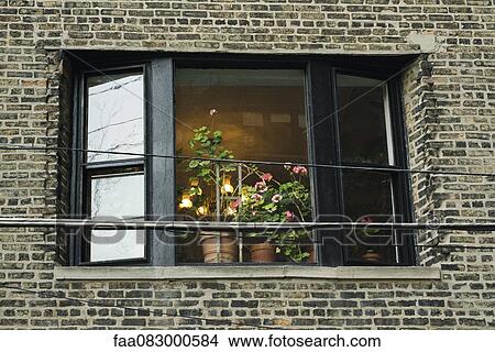 Open window with pots of geraniums View Large Photo Image Picture - Open window with pots of geraniums. Fotosearch