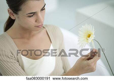 Stock Image - Young woman plucking petals from gerbera daisy. Fotosearch