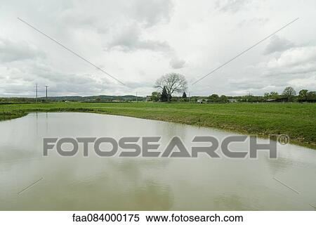Artificial lake in a rural landscape View Large Photo Image Stock Photography - Artificial lake in a rural landscape. Fotosearch