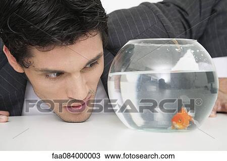 Businessman looking at goldfish in fishbowl View Large Photo Image Stock Image - Businessman looking at goldfish in fishbowl. Fotosearch