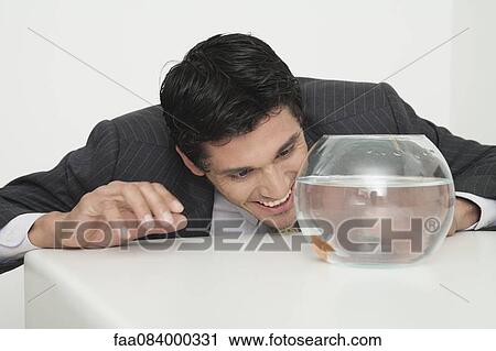 Businessman looking at goldfish in fishbowl, smiling View Large Photo Image Stock Image - Businessman looking at goldfish in fishbowl, smiling. Fotosearch