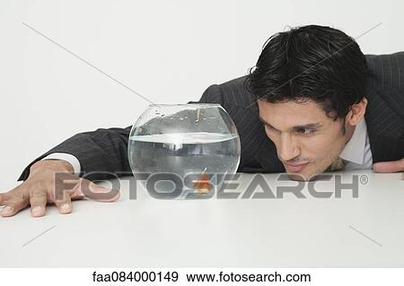 Stock Photo - Businessman looking at goldfish in fishbowl. Fotosearch