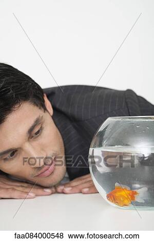 Businessman looking at goldfish in fishbowl View Large Photo Image Stock Photo - Businessman looking at goldfish in fishbowl. Fotosearch