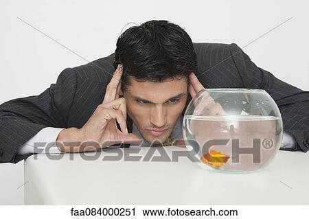 Stock Image - Businessman staring at goldfish in bowl. Fotosearch