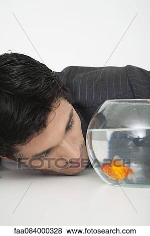 Businessman staring at goldfish in fishbowl View Large Photo Image Stock Photo - Businessman staring at goldfish in fishbowl. Fotosearch
