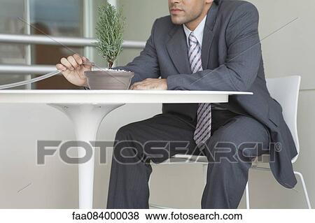 Businessman watering bonsai tree, cropped View Large Photo Image Stock Photo - Businessman watering bonsai tree, cropped. Fotosearch