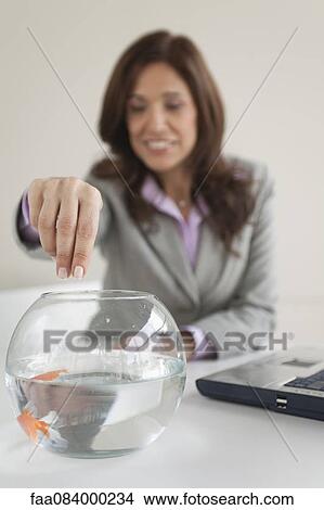 Businesswoman feeding goldfish View Large Photo Image Picture - Businesswoman feeding goldfish. Fotosearch