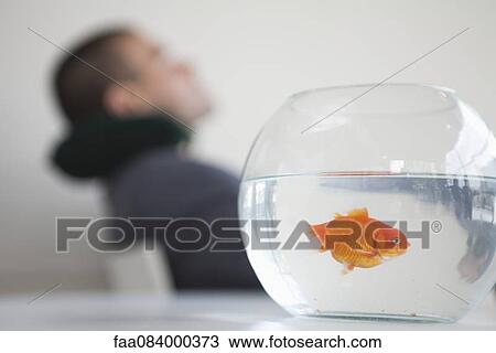 Goldfish in fishbowl, businessman resting in background View Large Photo Image Stock Image - Goldfish in fishbowl, businessman resting in background. Fotosearch