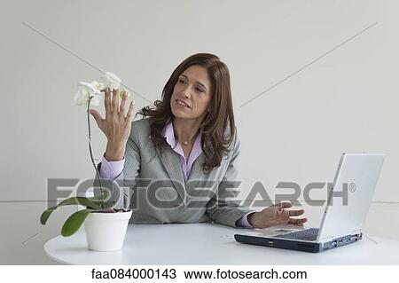Mature businesswoman looking at orchid flowers on desk View Large Photo Image Stock Image - Mature businesswoman looking at orchid flowers on desk. Fotosearch